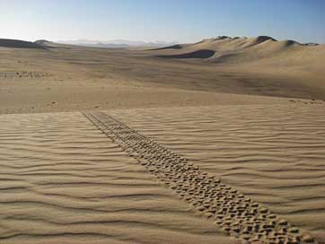 Algeria Sand Desert Sahara Picture