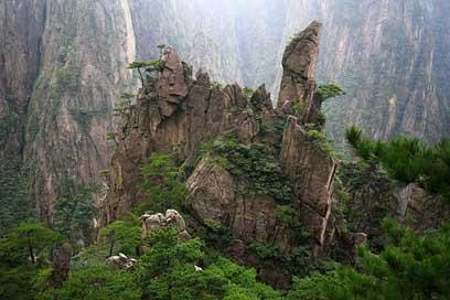 China Jun-Rock Cypress Huangshan Picture