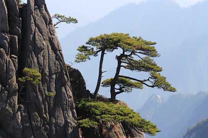 China Landscape Mountain Huangshan Picture