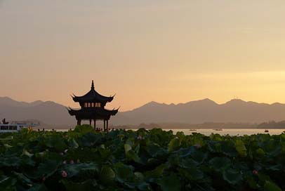 Sunset Lotus-Flowers Pagoda China Picture