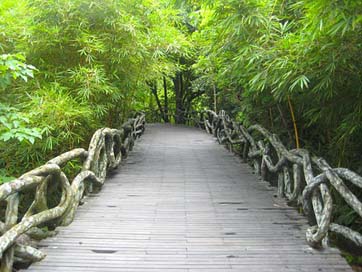 Yanoda Rainforest Park China Picture