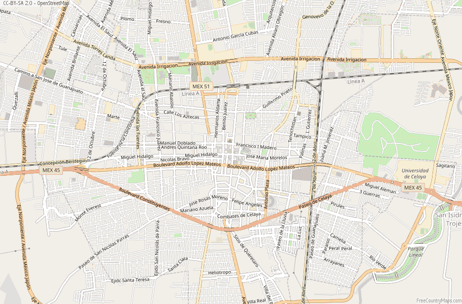 Celaya Map Mexico 2378060232 