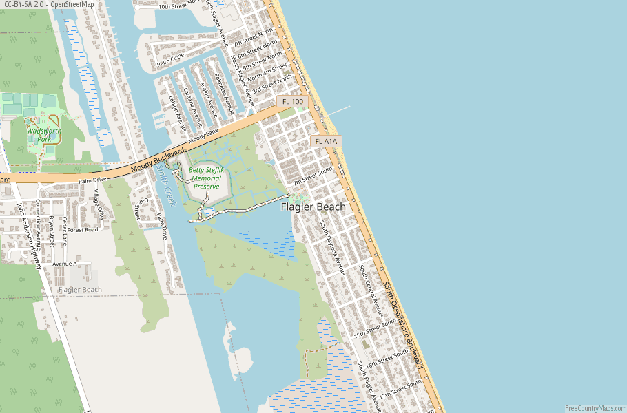 Flagler Beach Map United States 154150111 