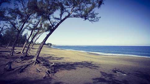 tang-Sal Ocean Beach La-Runion Picture