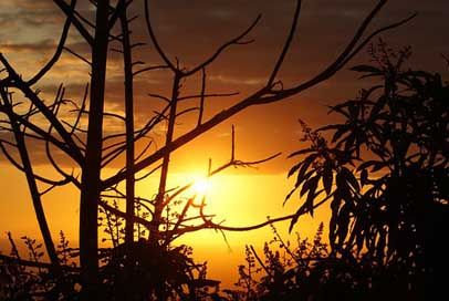 Reunion-Island Inflamed Evening Sunset Picture