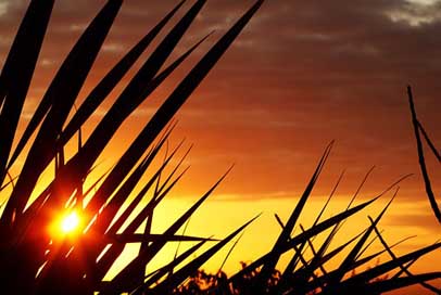 Reunion-Island Inflamed Evening Sunset Picture