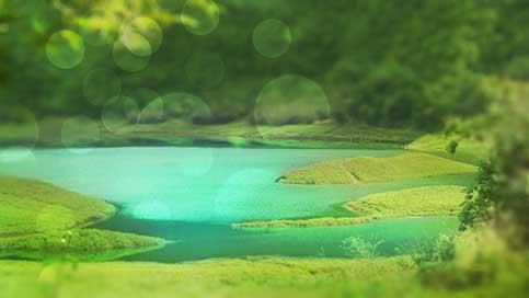 Nature Water Lake Landscape Picture