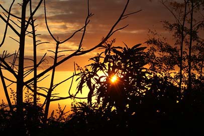 Sunset Inflamed Reunion-Island Evening Picture