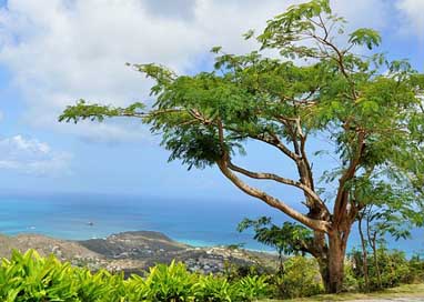 Island Sea Panorama Paradise Picture