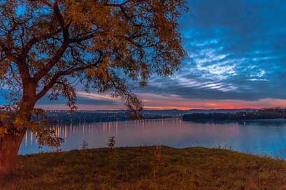 Petrovaradin Nature Sunset Serbia Picture